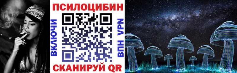 Псилоцибиновые грибы GOLDEN TEACHER  MEGA зеркало  Александровск 
